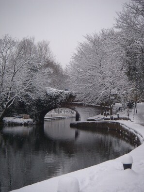 Winter walks along the canal