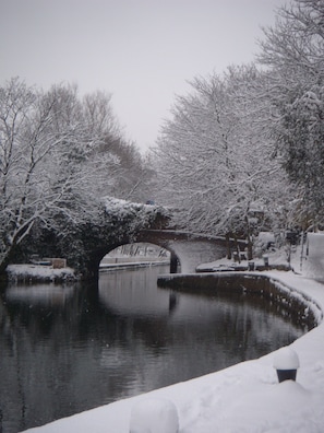 Winter walks along the canal
