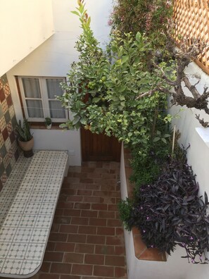 Planted garden with dining/seating for 6+ accessed directly off the kitchen 