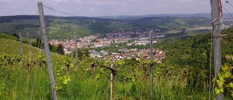 Blick vom "Schönbühl" auf Remshalden