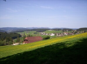 schöne Aussicht auf den Feldberg