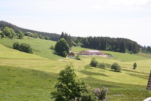 Blick Richtung Osten aus der Ferienwohnung