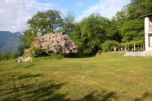 Huge, expansive lawn!