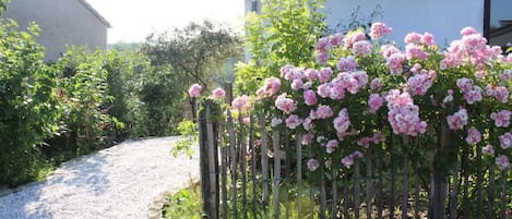 Overnatningsstedets område