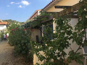 Terrasse Erdgeschoss 