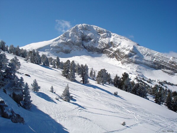 Snow and ski sports