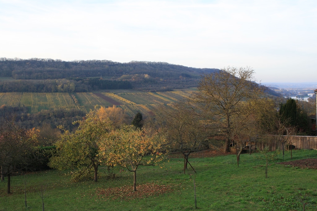 Plateau du Kirchberg, Luxembourg-Ville, Canton Luxembourg, Luxembourg