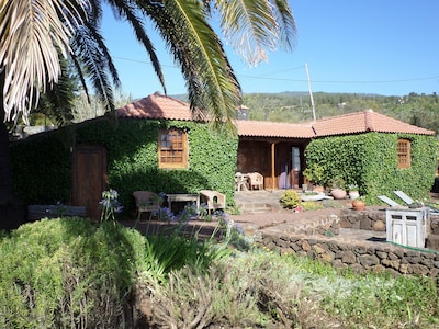 A real Canarian house created in the heartwood of the Canarian pine
