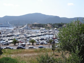 Marina