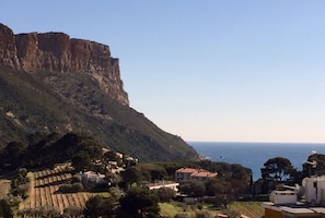 View of the Mediterranean, Cap Canaille and the surrounding vineyards