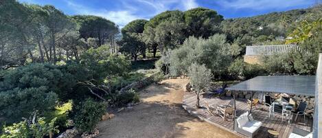 Jardines del alojamiento