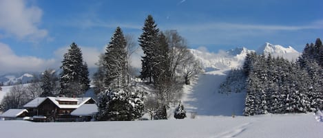 Sneeuw- en skisporten