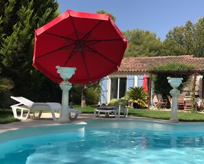 View from the garden