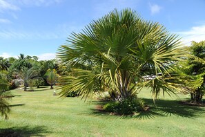 Jardines del alojamiento