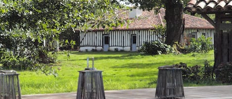 De la verdure, des chênes centenaires, des pins et des maisons à colombages