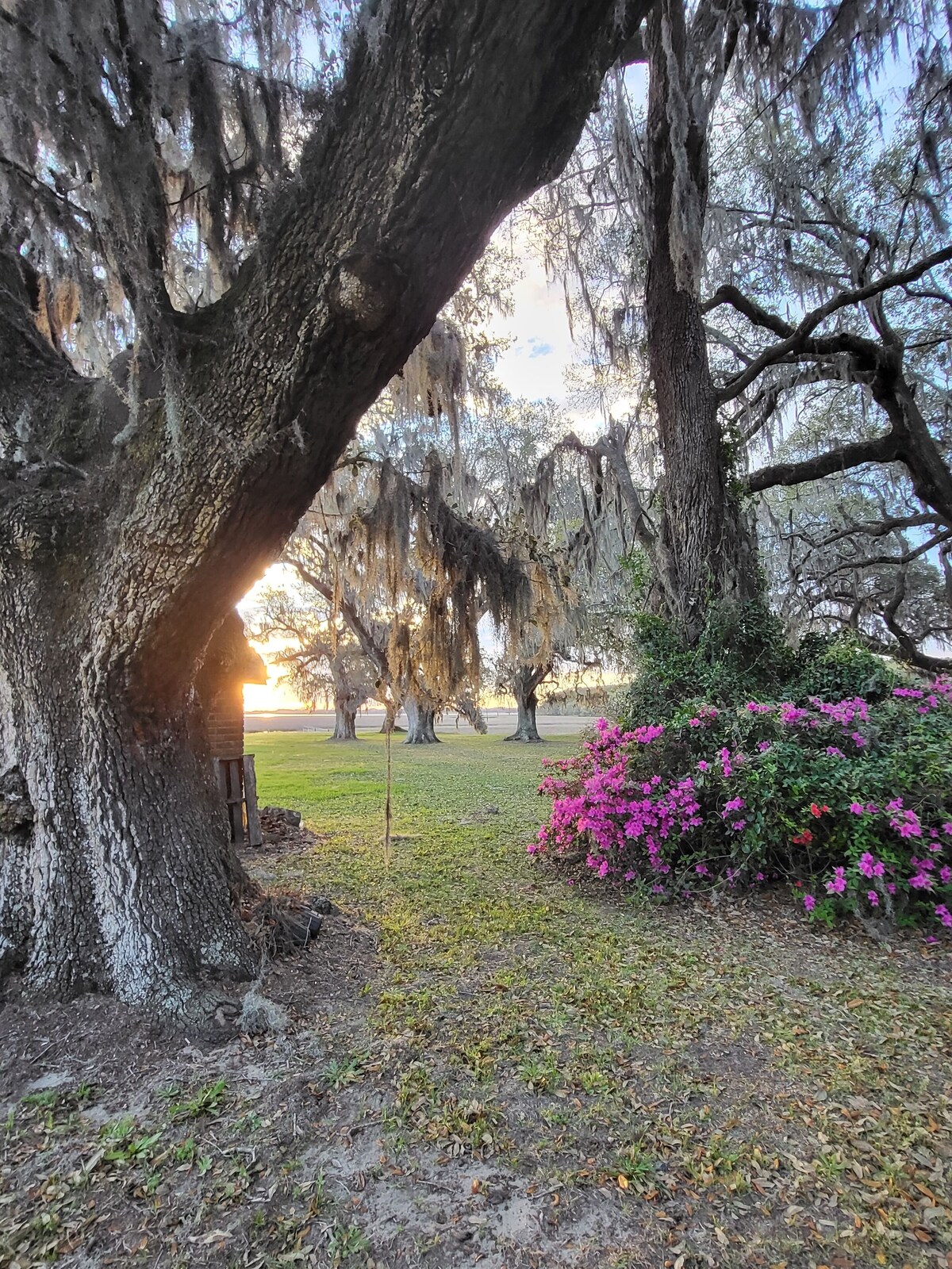 Historic Charleston Waterfront Hut Homestead Close to Downtown & Kiawah/Folly