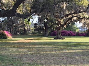 An old Southern homestead , called The Hut. 