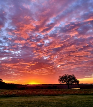 Grab a cup of fresh coffee and watch the sun rise!