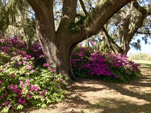 Jardines del alojamiento