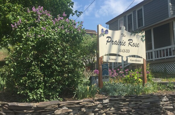 The Prairie Rose