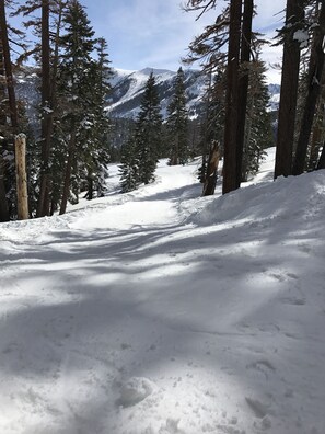 The ski out trail.