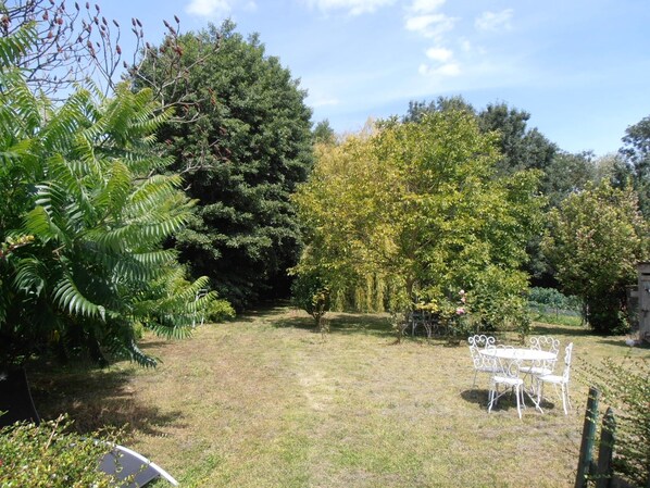 Jardin 