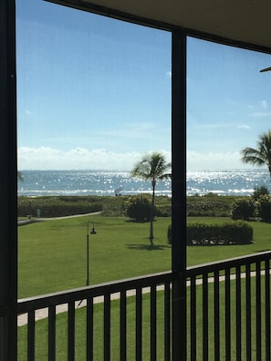 Sparkling water views