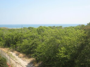 Back of condo overlooking wildlife preserve