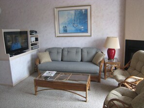 Family area with large television.