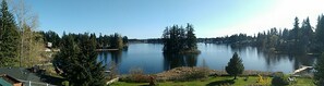 Backyard panarama