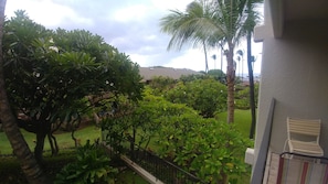 view