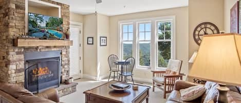 Living Room Area--- Cozy Log Fireplace, TV, View