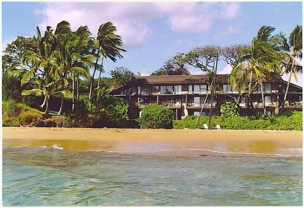 View of Building from Beach