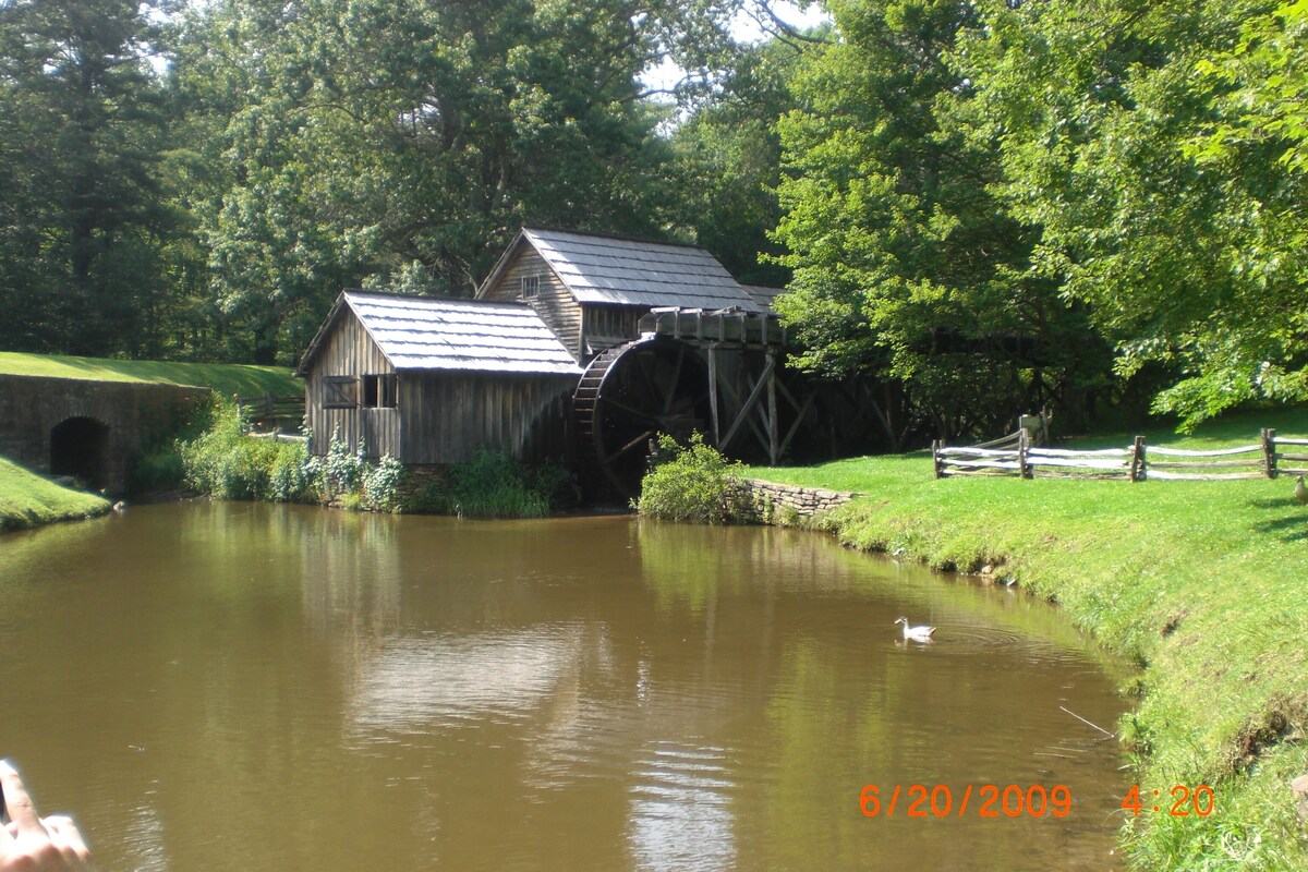Main Image