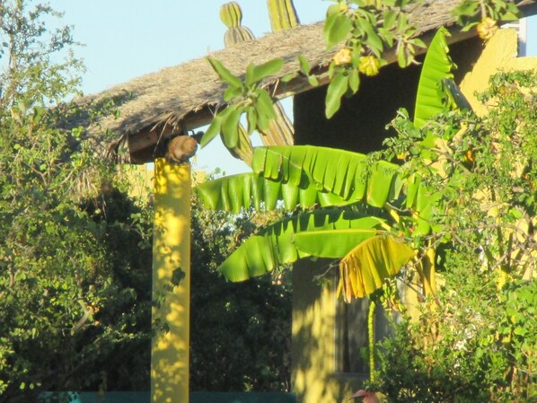 looking towards casita 2