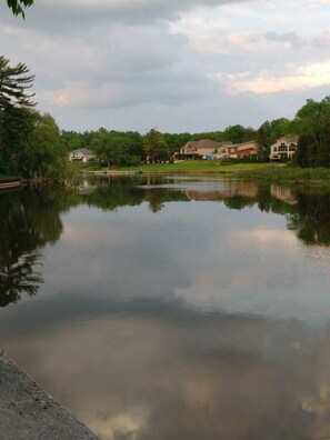 backyard views