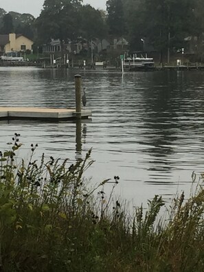 lovely water views and wildlife abound. Home is 50ish yards to water/docks
