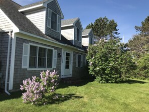 Lilacs in spring!