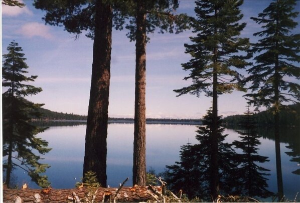 View from the deck