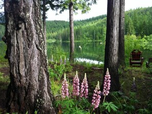 Such a beautiful way to wake up at Spoon Lake.