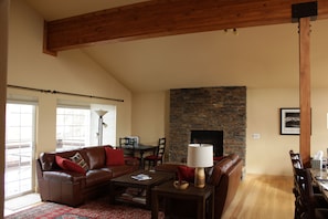 The Family Room and Fire Place