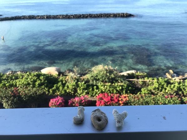 Our lanai (balcony) overlooks the lagoon and ocean