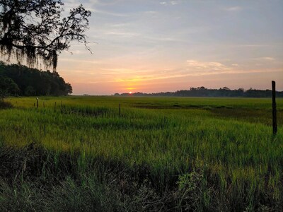 Cozy Tiny House by the Marsh-Short drive to Hunting Island State Park(PASS INCL)