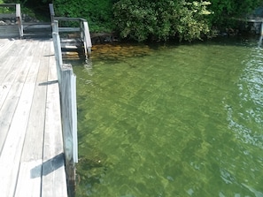 Friendly, Clear, Sandy Bottom Swimming!