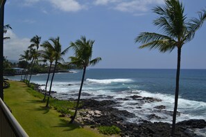 View looking south from your lanai towards Honl's State Beach