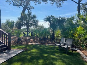 Backyard on the marsh