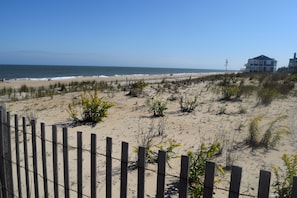 beach walk