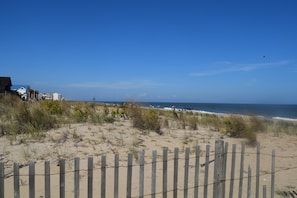 dune view