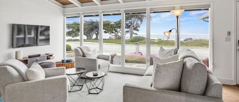 Ocean front Views, Crashing Waves and Wildlife all from the couch!