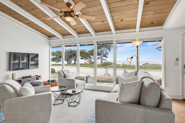 Ocean front Views, Crashing Waves and Wildlife all from the couch!
